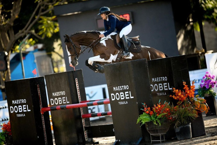 cara-mia-ak-z-7-anos-jumper-crowtanoz-crownz-semper